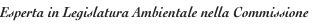 shapeimage_3_link_0